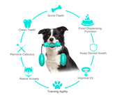 Durable Rubber Chew Bones that clean teeth while chewing